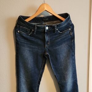 Silver Jeans Blue Skinny Denim